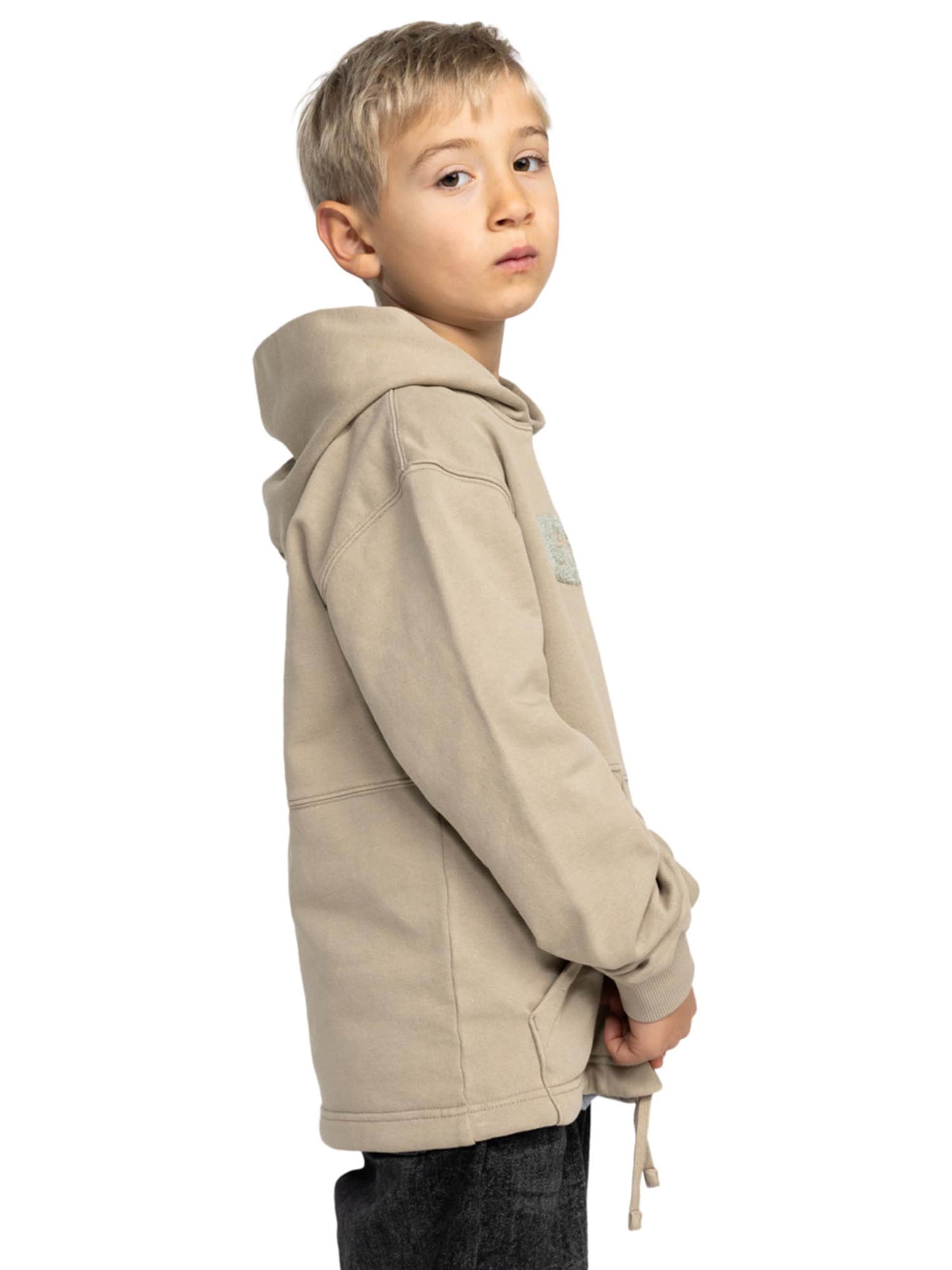 Hanorac sport 'MORTAR' de la DC Shoes pe bej