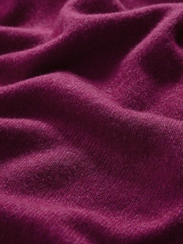 Seasalt Cornwall Pullover 'Fitcher' in Lila