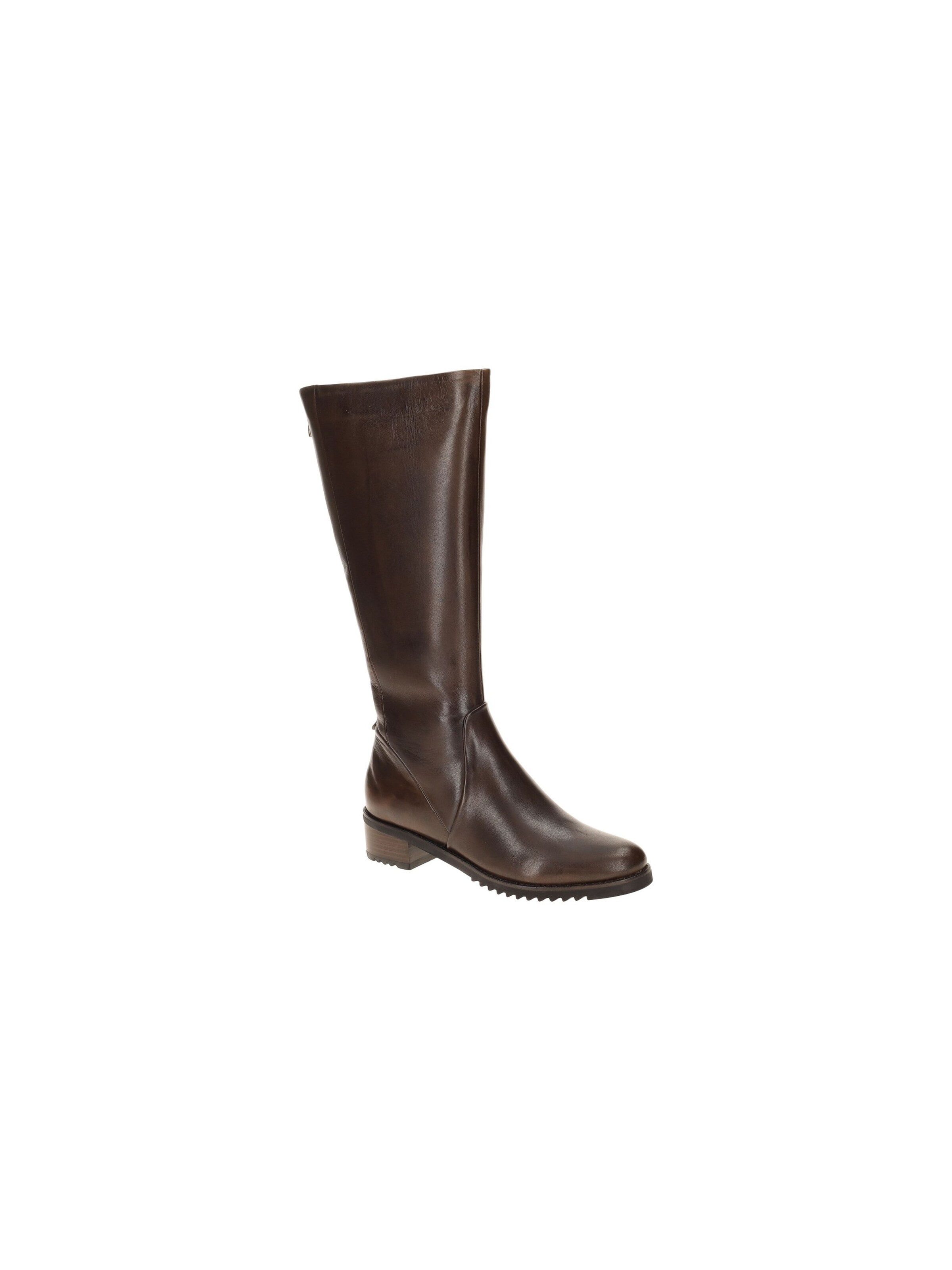 Everybody Boots 'Everybody Brisa Schaft Stiefel braun dünn gefüttert' in 39 in Brown, Item view