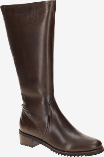 Everybody Boots 'Everybody Brisa Schaft Stiefel braun dünn gefüttert' in 39 in Brown, Item view