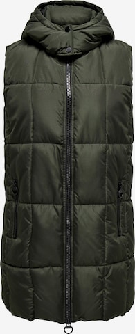 JDY Bodywarmer 'DAISY' in Groen: voorkant