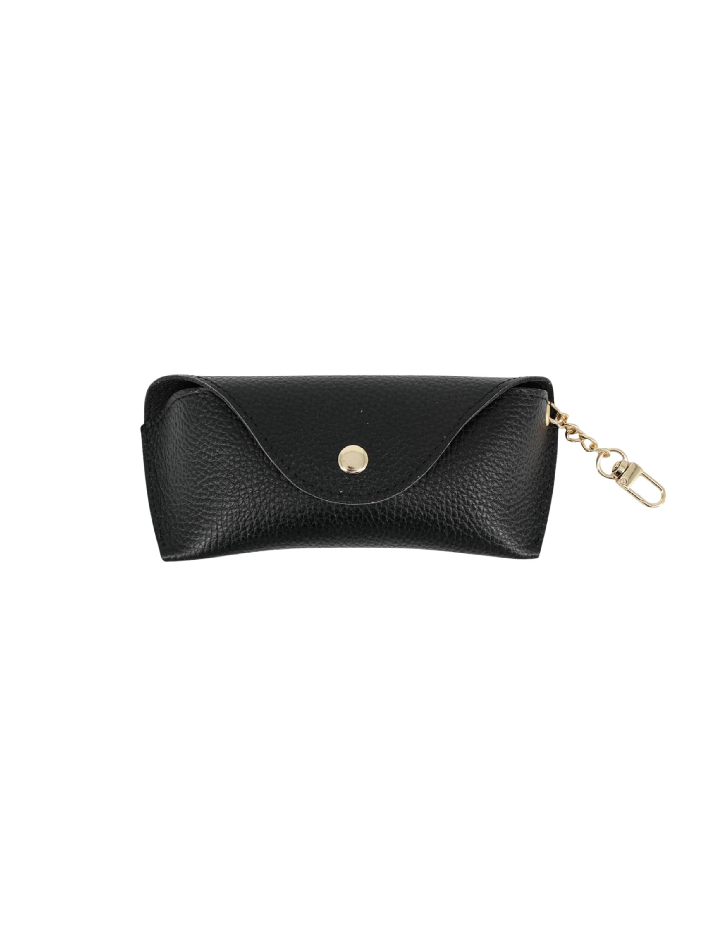 Brise Case 'Brillenetui' in Black: front
