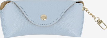 Brise Case 'Brillenetui' in Blue: front