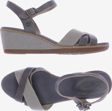TIMBERLAND Sandals & High-Heeled Sandals in 39,5 in Grey: front