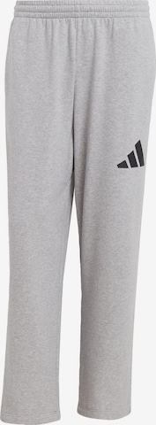 Pantalon de sport 'Essentials' ADIDAS SPORTSWEAR en gris : devant