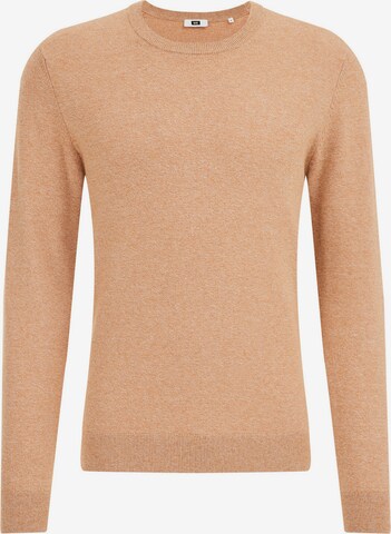 WE Fashion Sweater in Brown: front