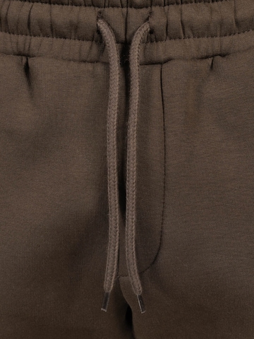 Smilodox Regular Jogginghose Yasin in Braun