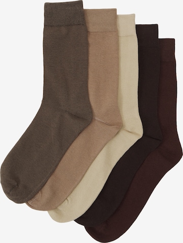JACK & JONES Socks 'JACJENS' in Beige: front