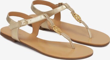 Kazar T-Bar Sandals in Gold