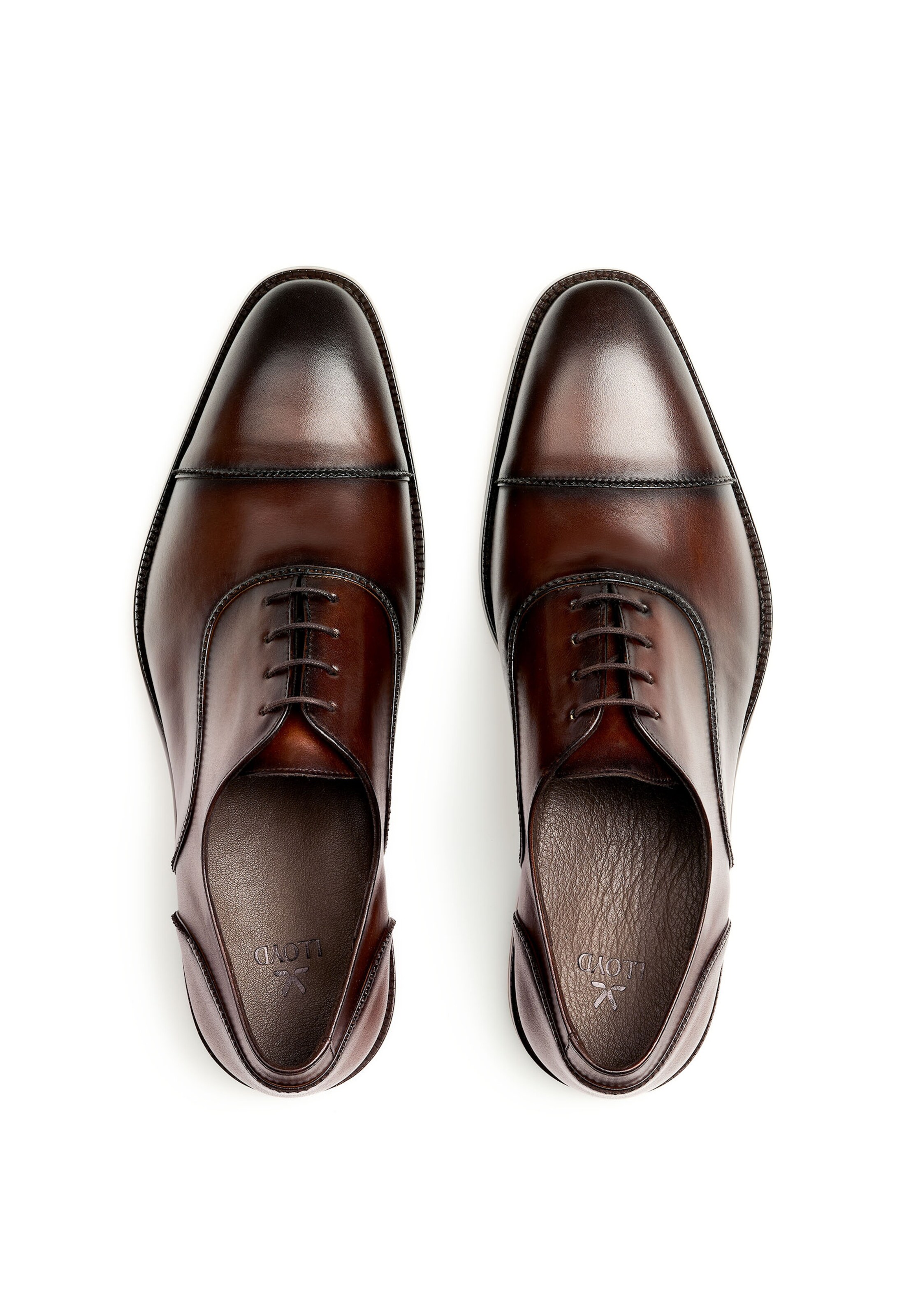 LLOYD Schuhe 'NOBEL' in Braun