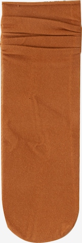 Millo Socks 'Ice Viskose' in Brown: front