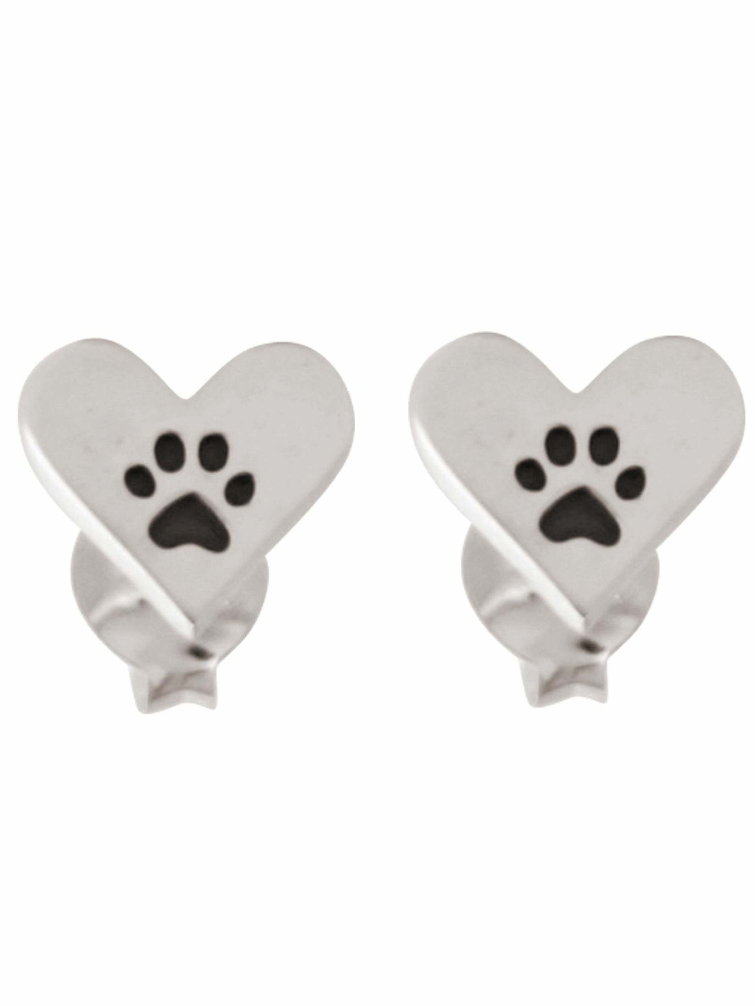 Gemshine Earrings in Silver: front