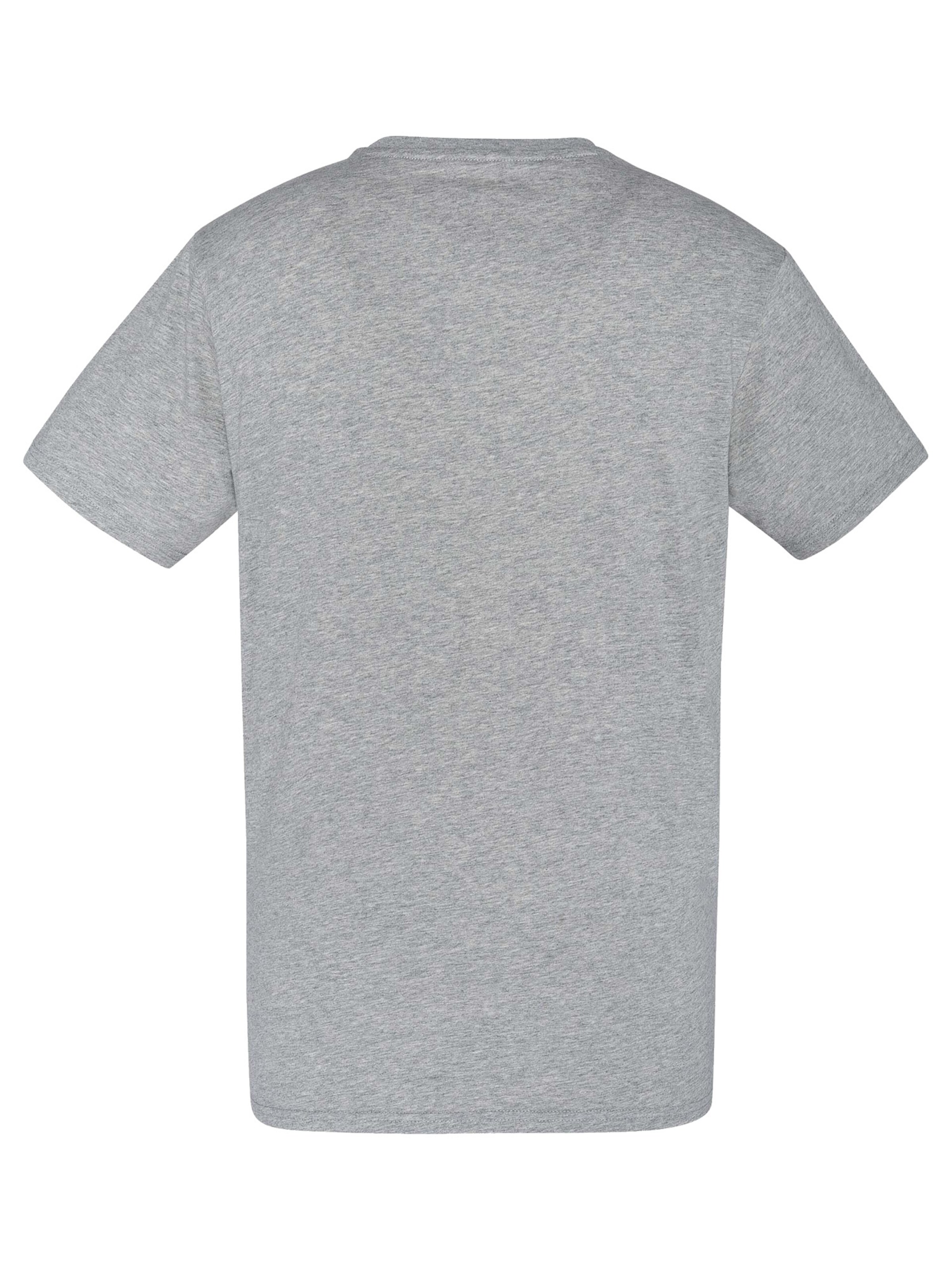 Schott NYC Shirt in Grey