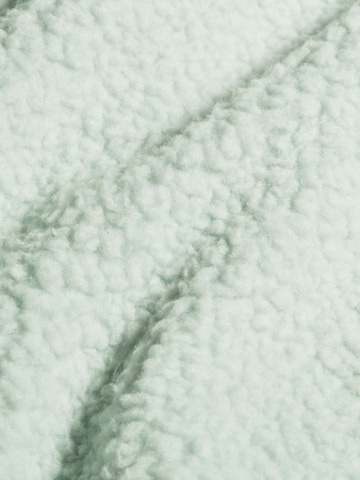 MAMMUT Jacke ‘Falera Pro' in Grün