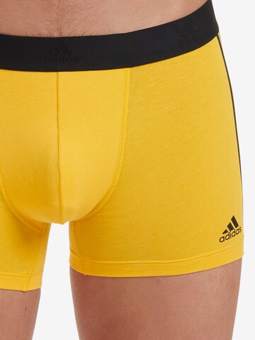 ADIDAS SPORTSWEAR Sportunterhose ' Active Flex Cotton ' in Gelb