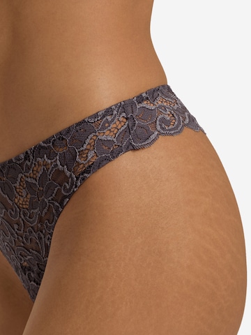 String Hanro en gris