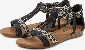 LASCANA Sandalen met riem in Zwart