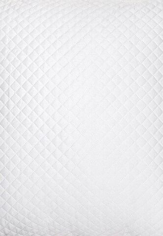 Ralph Lauren Home Pillow in White