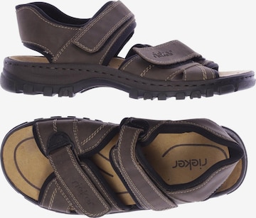 Rieker Sandals & Slippers in 41 in Brown: front