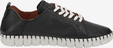 SHABBIES AMSTERDAM Athletic Lace-Up Shoes in Black