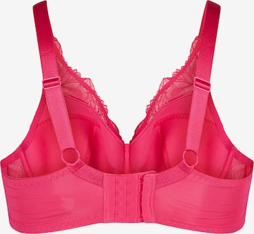 Devoted by Zizzi BH in Pink