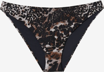 CALZEDONIA Bikini Bottoms in Mixed colors: front