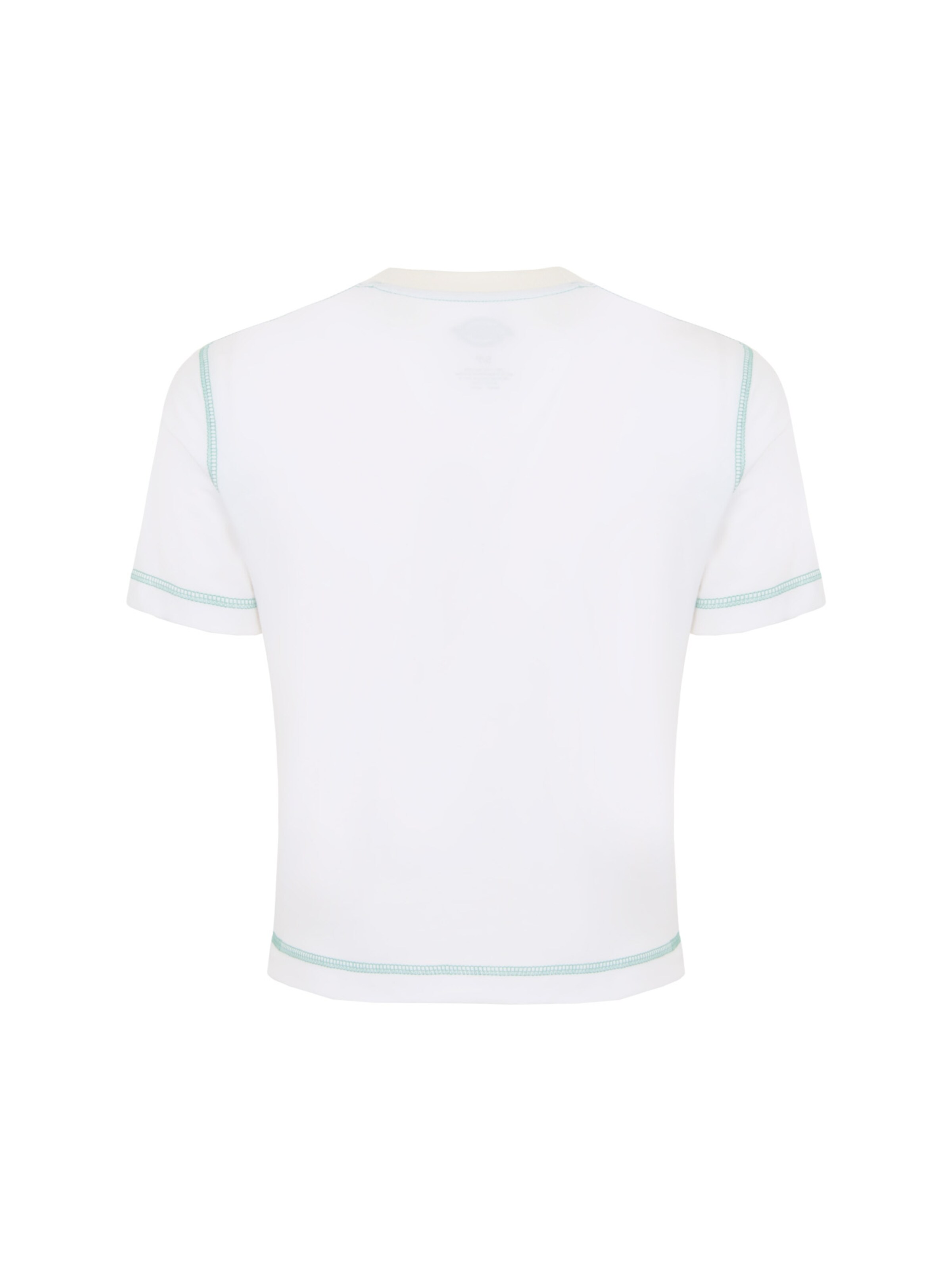 DICKIES Tričko 'PHILIPSBURG' – černá