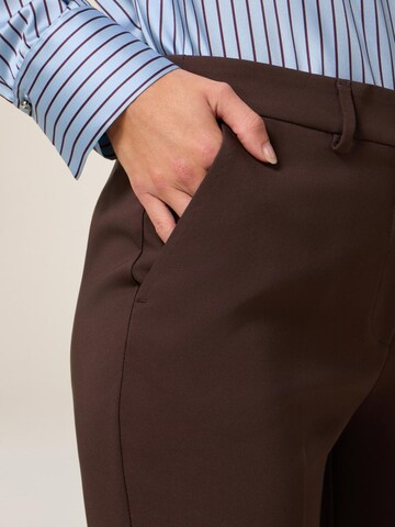 oltre Regular Hose‌‌‌‌‌‌‌‌ in Braun