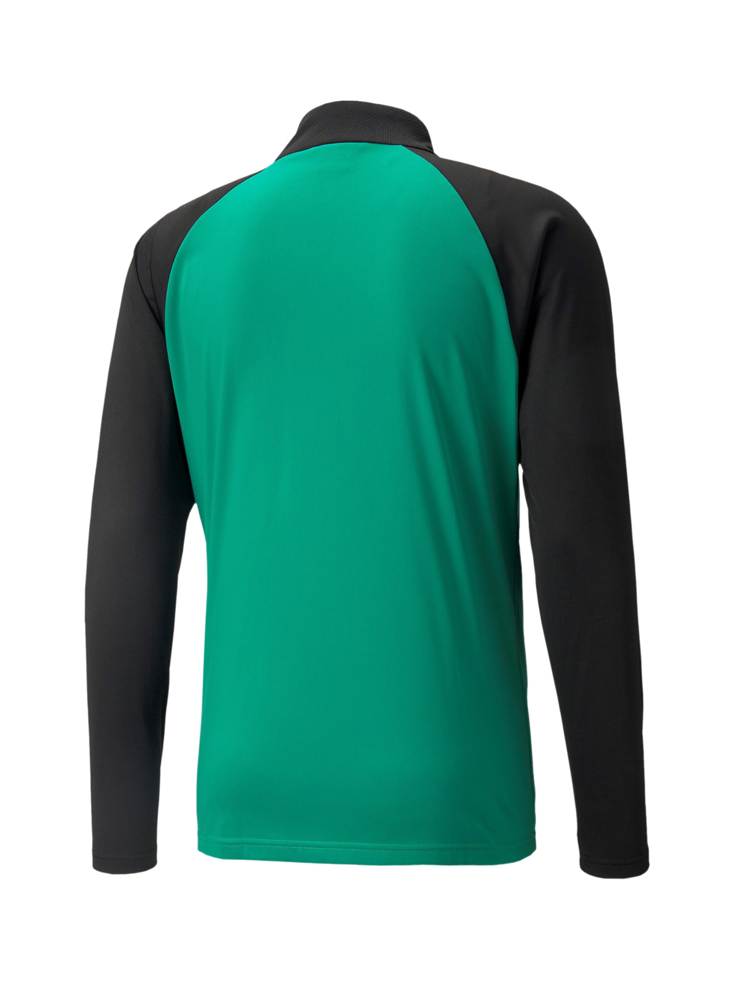PUMA Athletic Jacket 'TeamLIGA' in Green