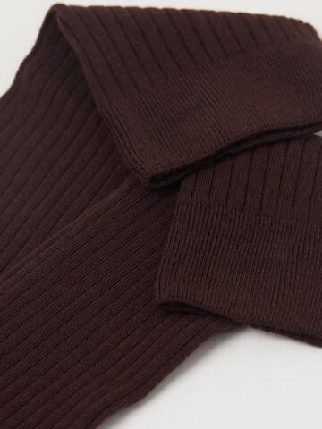 CALZEDONIA Socken in Braun