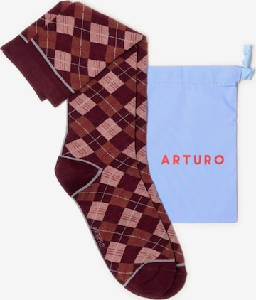 Calzino 'Arturo Argyle Lungo' di Arturo in rosso: frontale