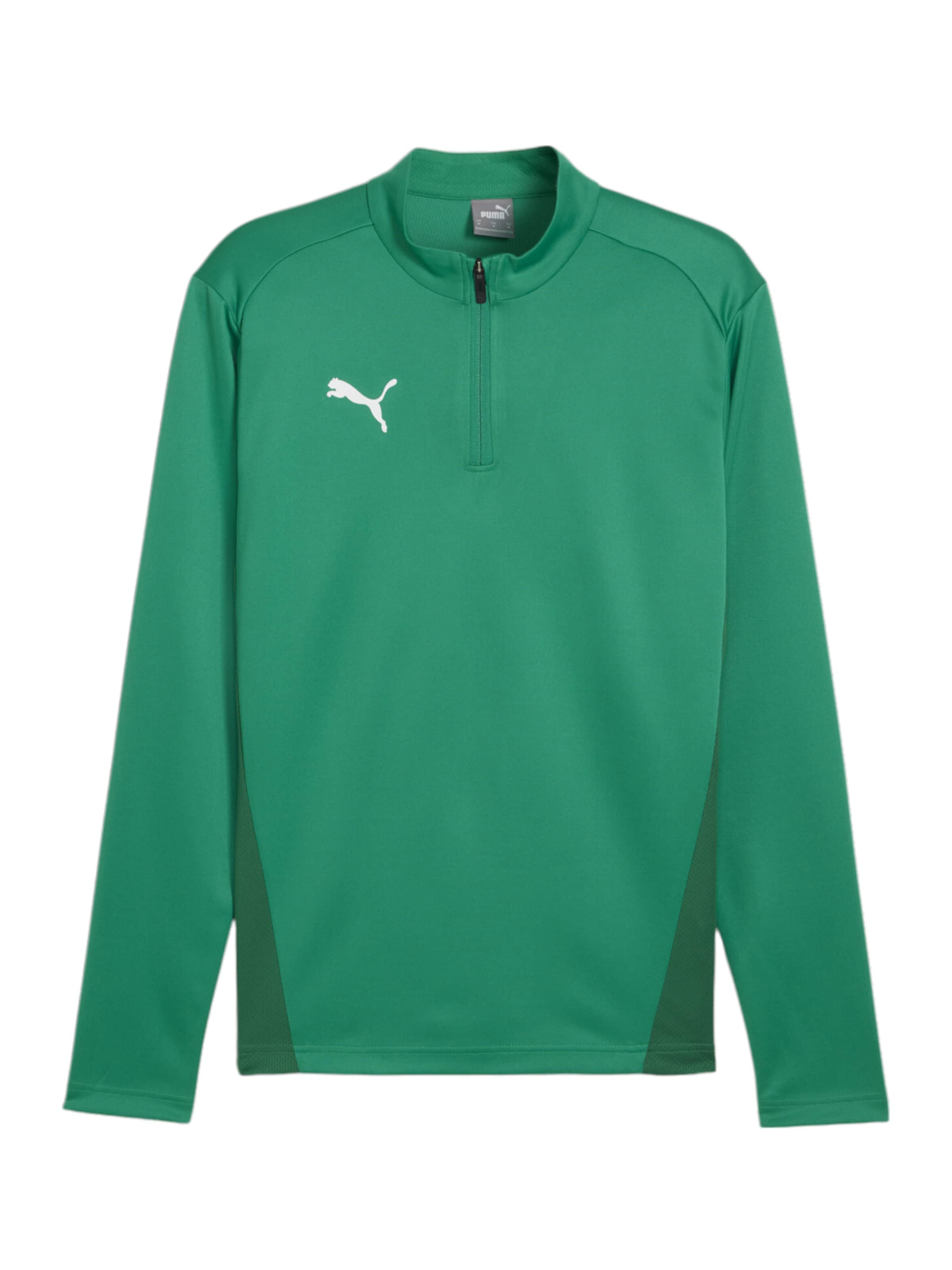 PUMA Funktionsshirt 'TeamGoal' in Grün: Vorderseite