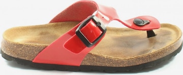 HUSH PUPPIES Sandals & High-Heeled Sandals in 36 in Red: front