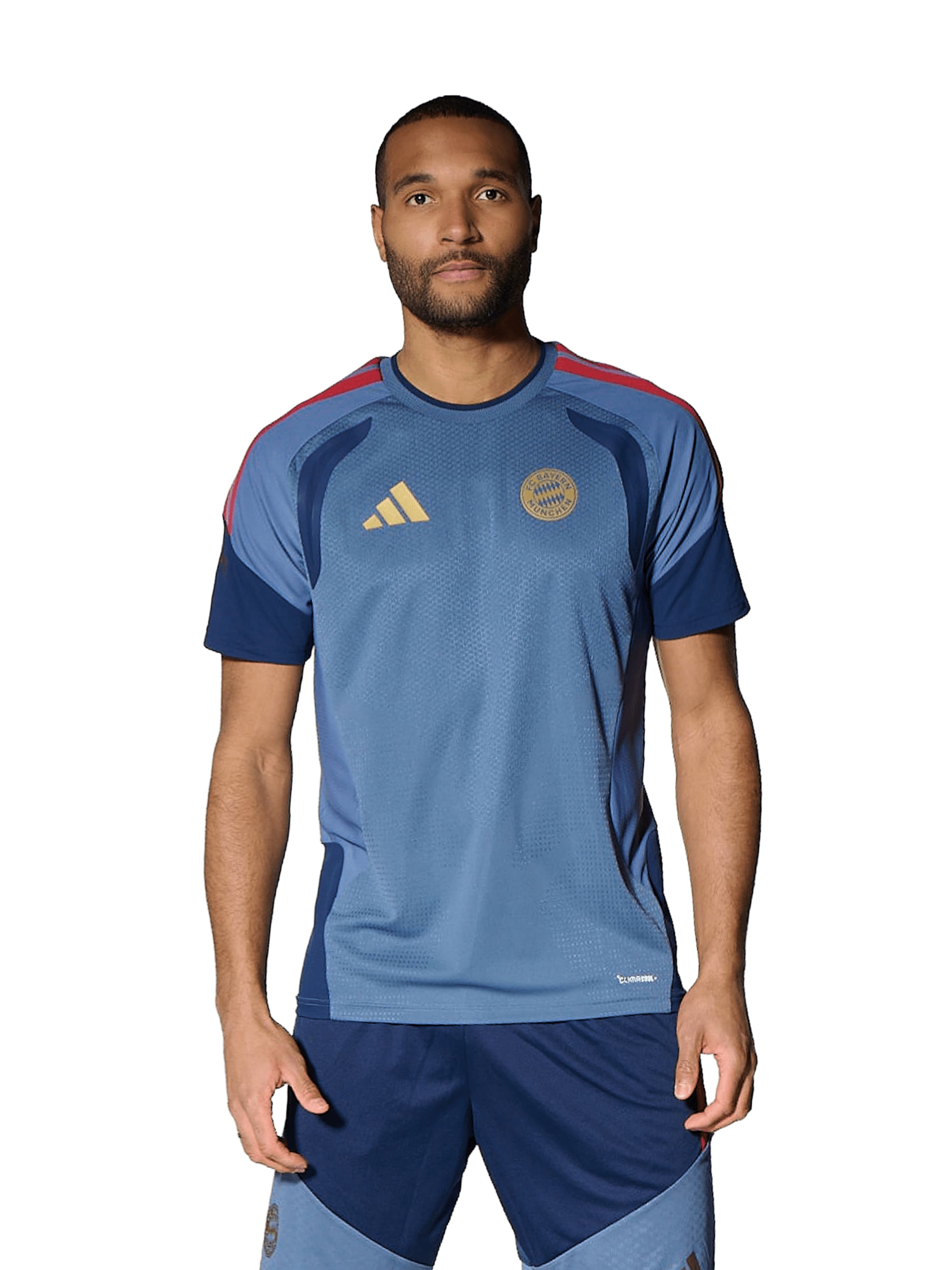 ADIDAS PERFORMANCE Performance Shirt in Blue