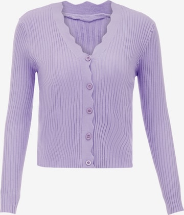 IPARO Knit Cardigan in Purple: front