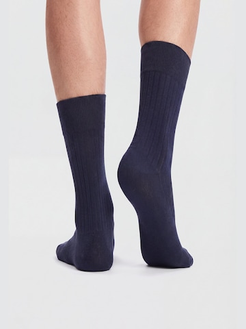 Ciocca Socks in Blue