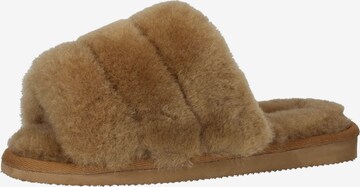 SHEPHERD Slippers in Brown: front