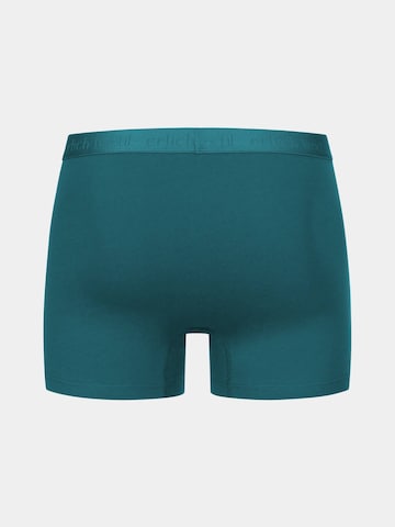 Boxers 'Casual Cotton' Erlich Textil en vert