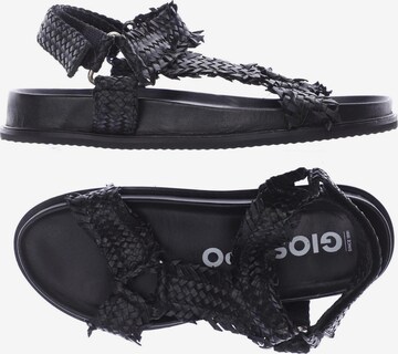 GIOSEPPO Sandals & High-Heeled Sandals in 40 in Black: front