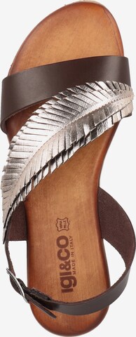 Sandales IGI&CO en marron