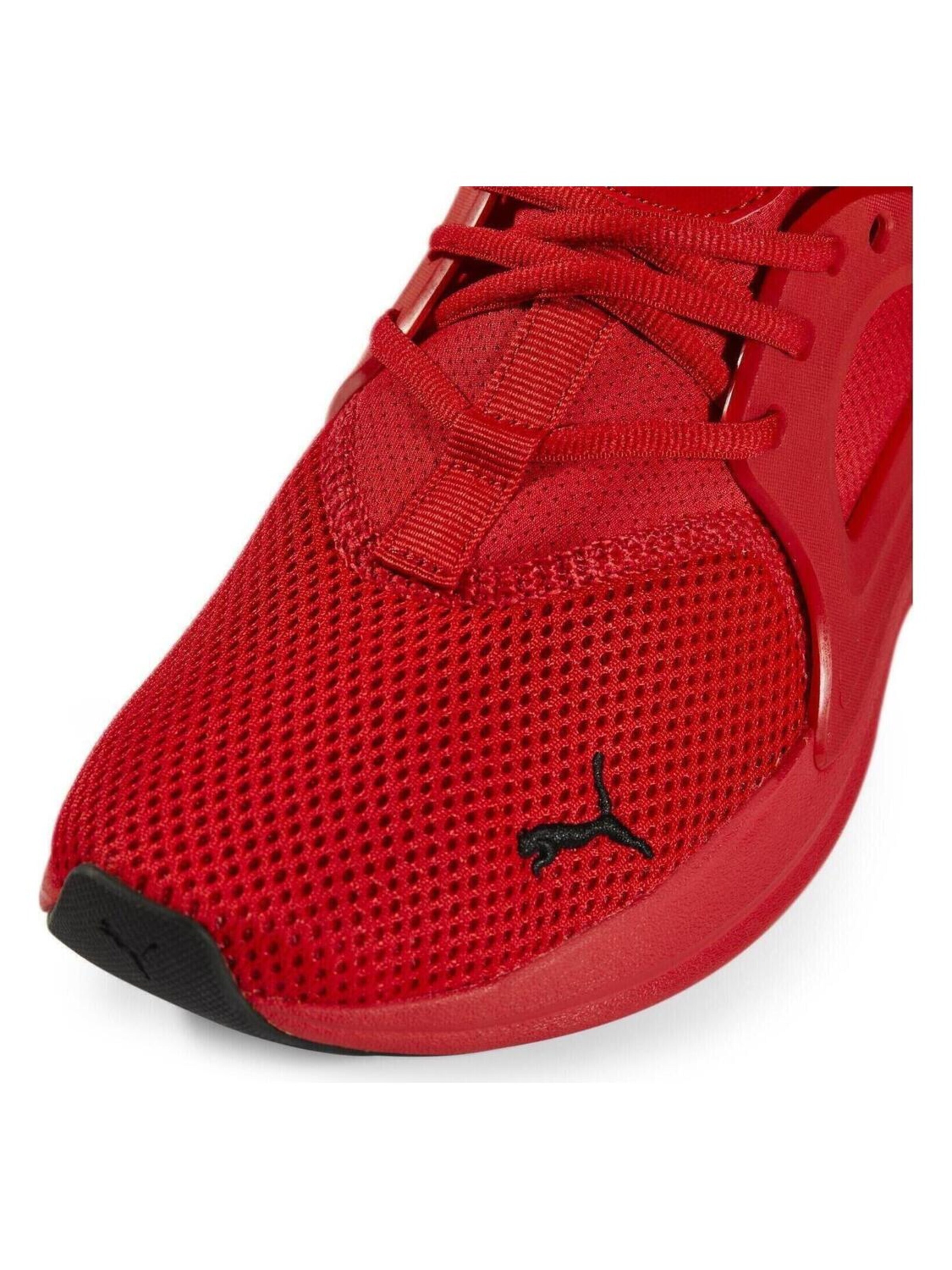 PUMA Sneaker low 'Puma Softride Enzo Evo High'‌‌‌ in Rot