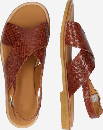 Sandales ANGULUS en marron