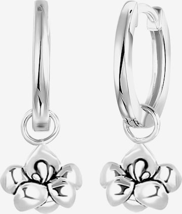 Lucardi Oorbellen in Zilver: voorkant