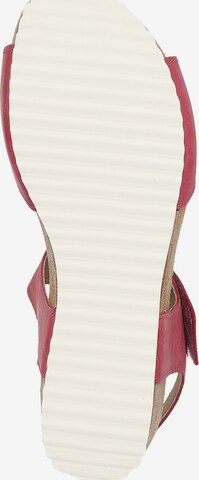 SIOUX Sandals in Pink