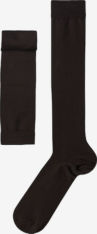 CALZEDONIA Knee High Socks in Brown: front