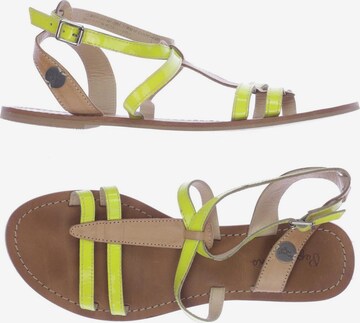 Pepe Jeans Sandals & High-Heeled Sandals in 38 in Yellow: front