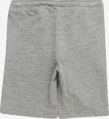 Jack & Jones Junior Regular Pants 'STARROW' in Grey