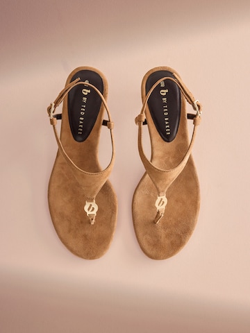 Sandalo di B by Ted Baker in marrone