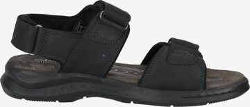 CLARKS Sandale 'Hapsford Creek' in Schwarz