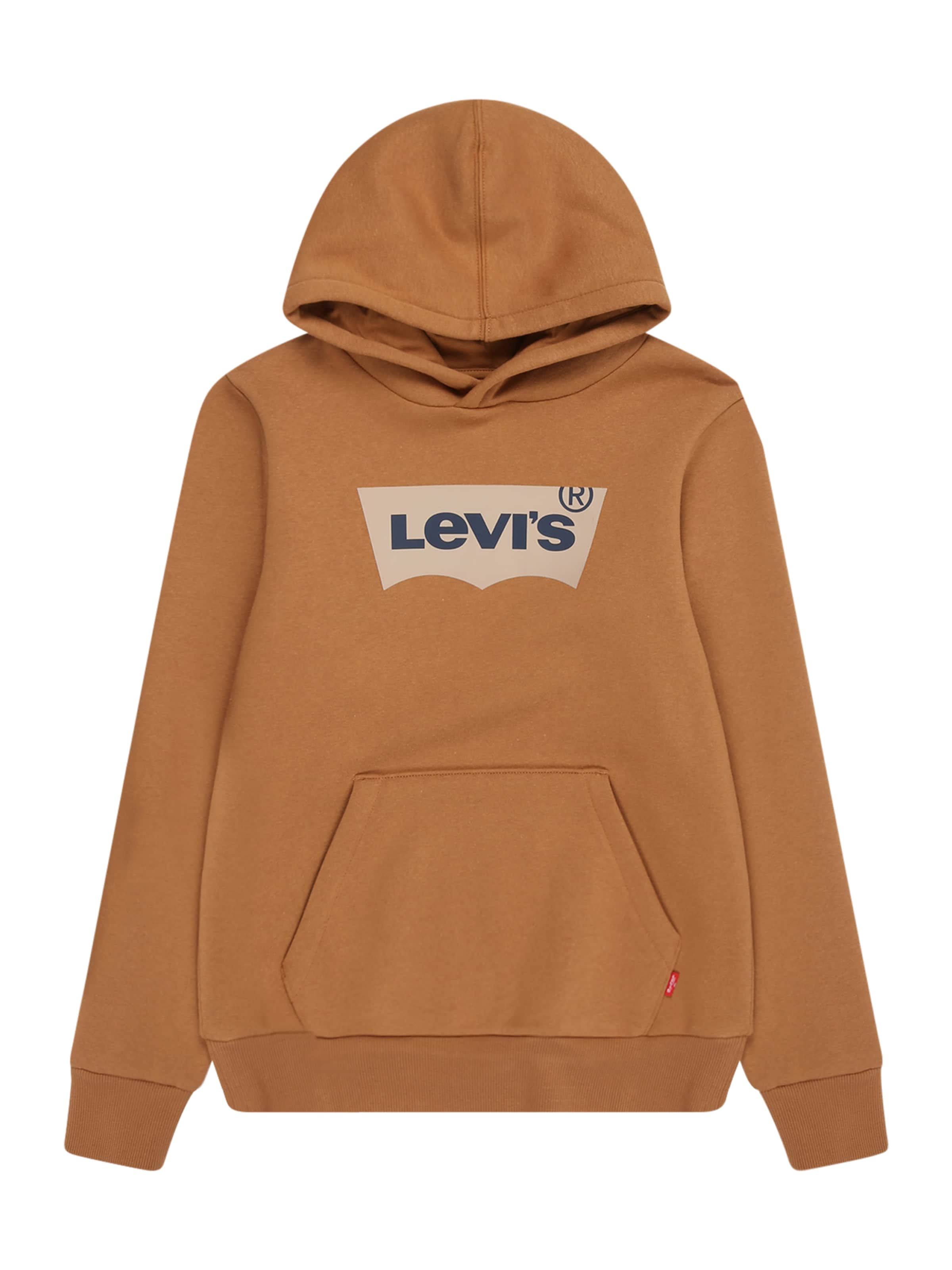 Levi's Kids Sweatshirt in Brown: front